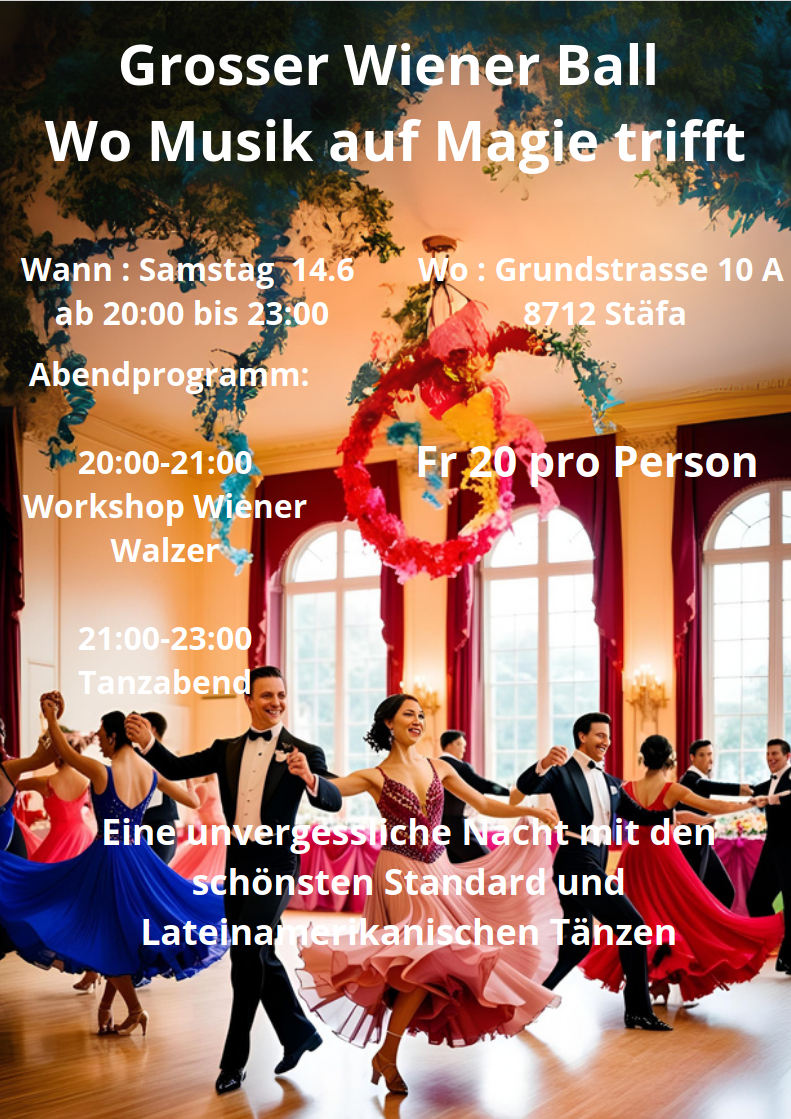 Wiener Ball Abend